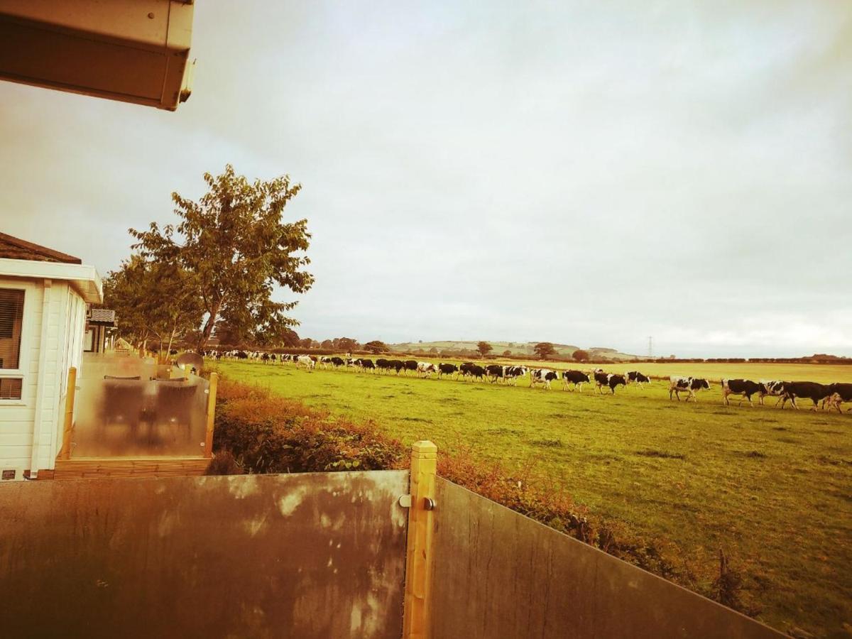 19 Park Views Just Outside Penrith For Holidays And Short Breaks Please No Commercial Vans Thankyou High Hesket Eksteriør bilde