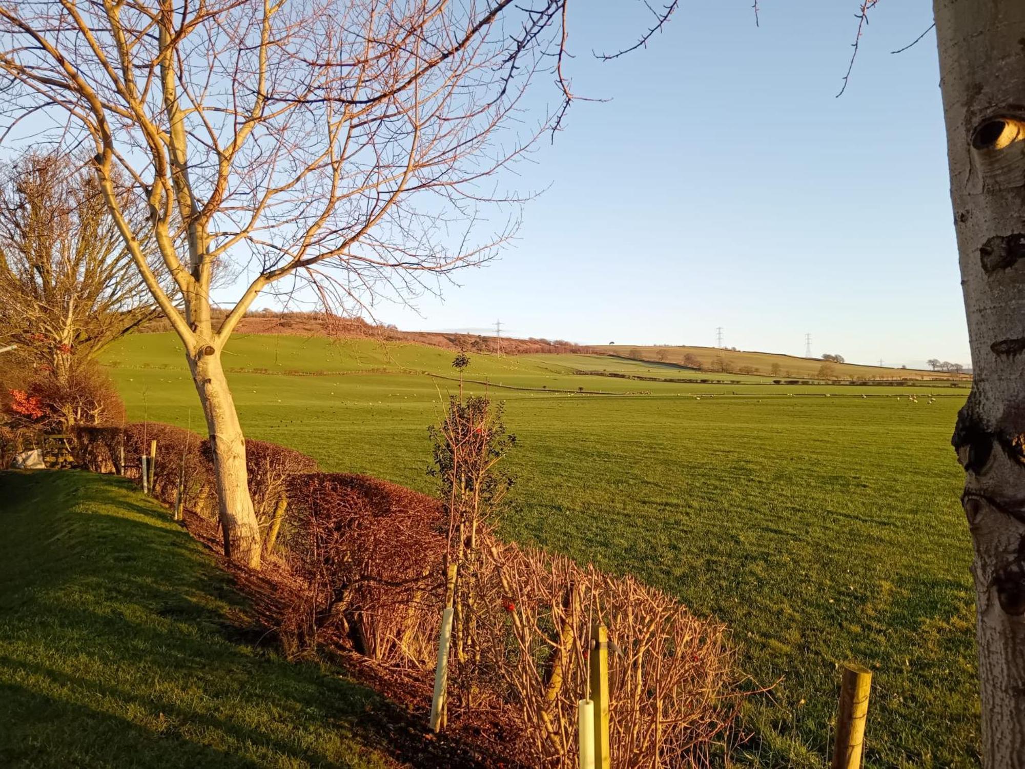 19 Park Views Just Outside Penrith For Holidays And Short Breaks Please No Commercial Vans Thankyou High Hesket Eksteriør bilde